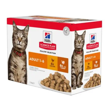 Hills Feline Adult Chicken & Turkey Pouch Multi Pack (12x85g)
