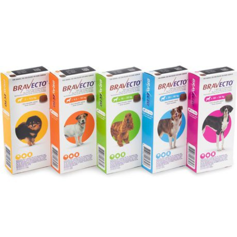 Bravecto Chew For Medium Dogs (10-20kg) - Image 7
