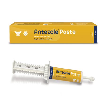 Antezole Deworming Paste (15ml)