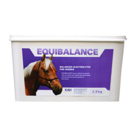 Equibalance (2.5kg)