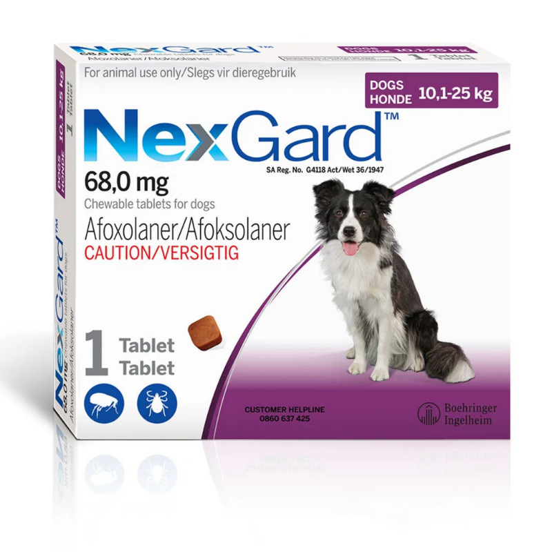 NexGard For Medium Dogs 10.1-25kg