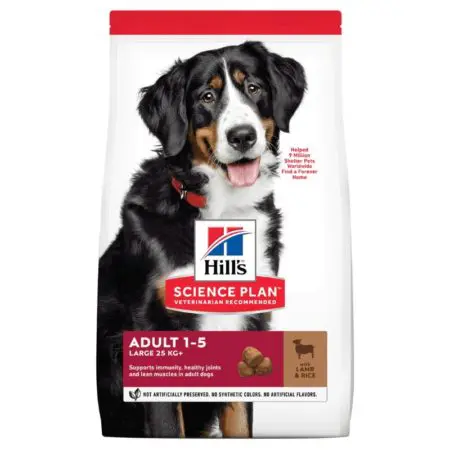 Hills Adult Large Breed Lamb & Rice Dog Food (12kg)