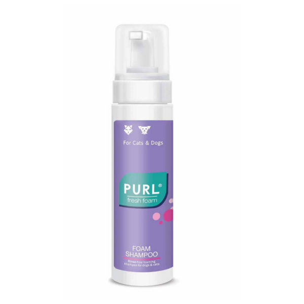 Purl Freshness Foam Shampoo (200ml)