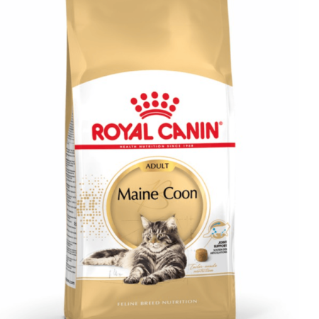 Royal-Canin-Maine-Coon-Adult-Cat-Food