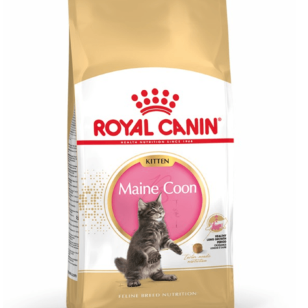 Royal-Canin-Maine-Coon-Kitten-Food