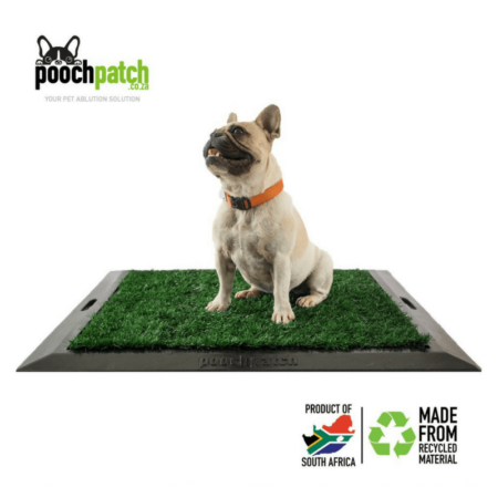 Pooch Patch Kit Medium 2.0
