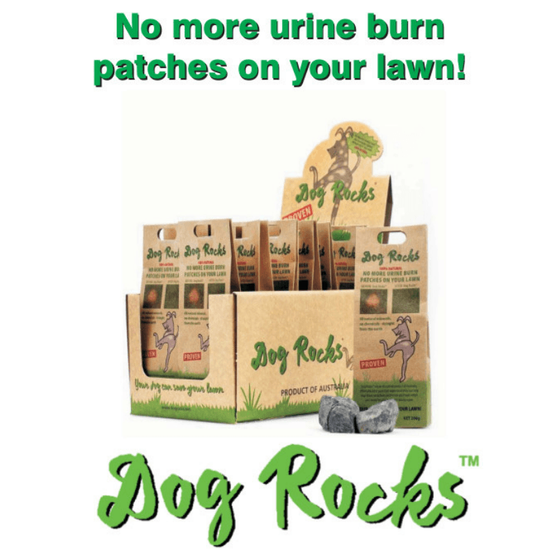 Dog Rocks (200g) - Image 2