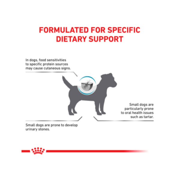 Royal Canin Hypoallergenic Adult Dog Food (2kg) - Image 6