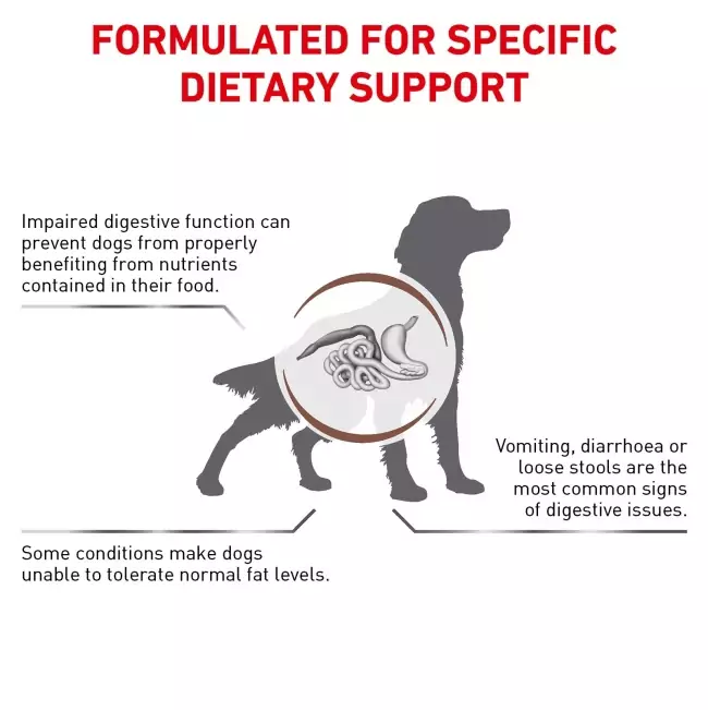 Royal Canin Gastrointestinal Low Fat Dog Food (12kg) - Image 4