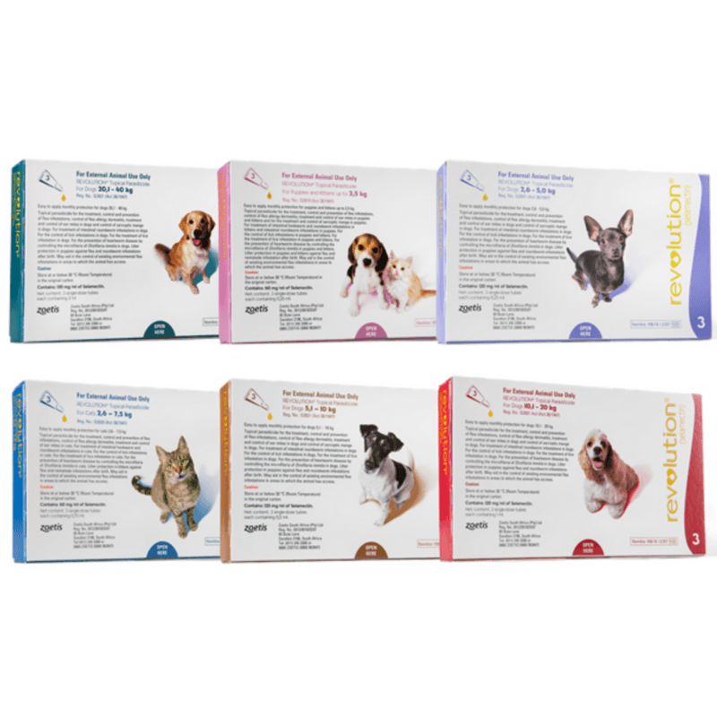 Revolution For Large Dogs (10.1-20kg) - Image 2