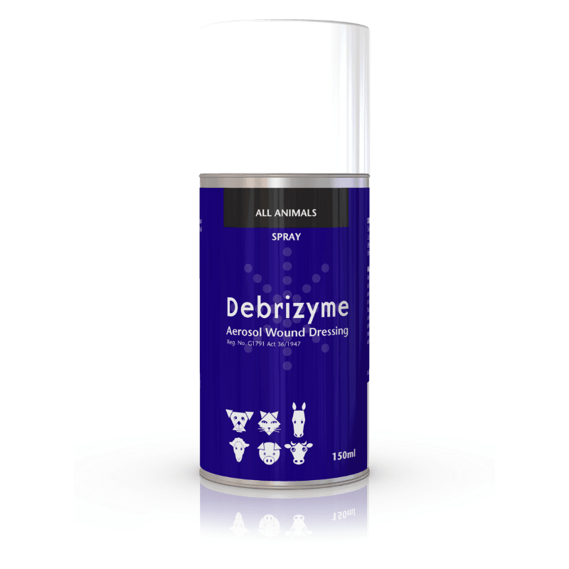 Debrizyme Wound Spray (150ml)