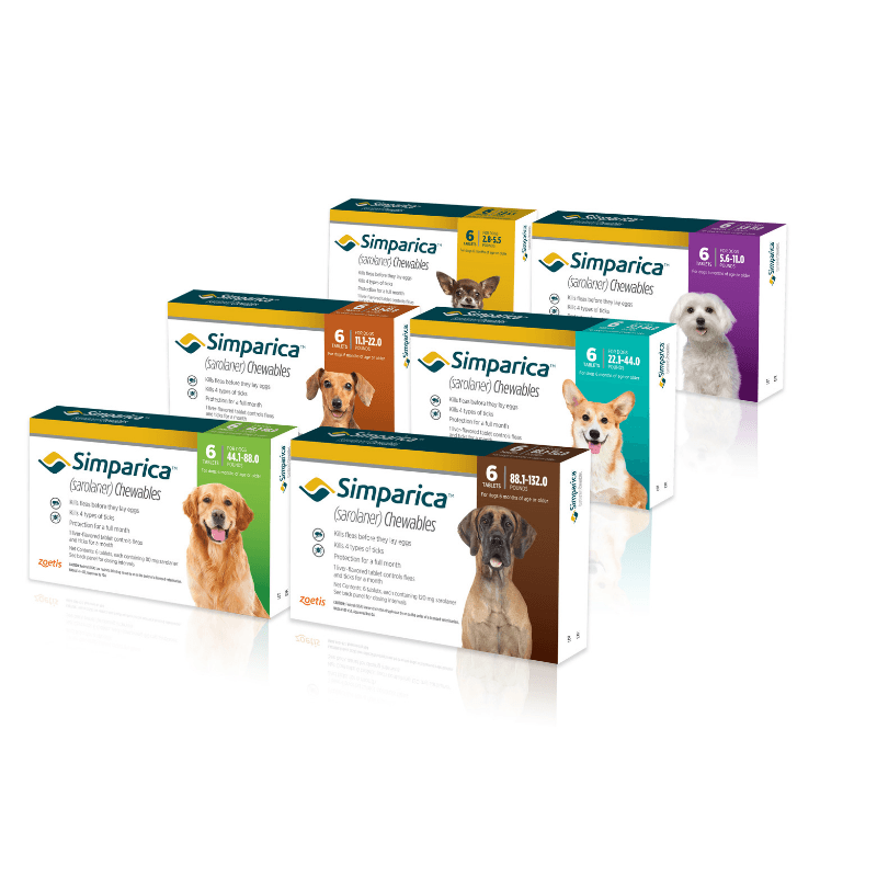Simparica Chewable Tablets For Medium Dogs (10-20kg) - Image 2