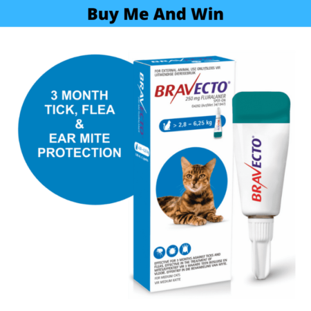 Bravecto Spot On For Medium Cats (2.8 - 6.25kg)