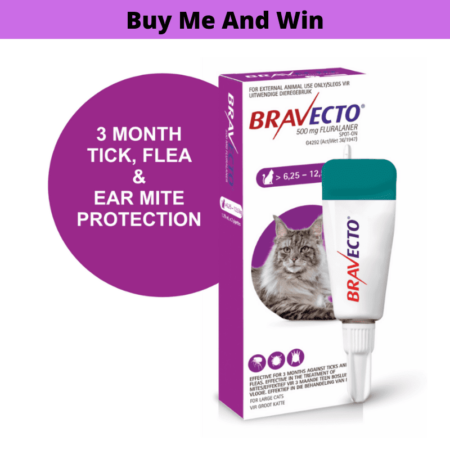 Bravecto Spot On For Large Cats (6.25-12.5kg)