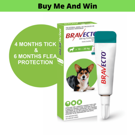 Bravecto Spot On For Medium Dogs (10-20kg)