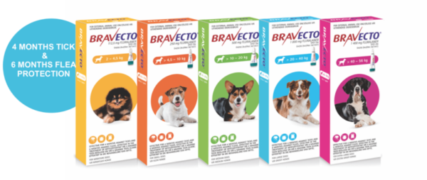 Bravecto Spot On For Extra Large Dogs (40-56kg) - Image 2
