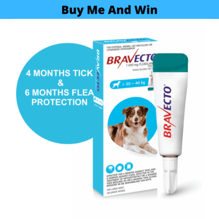 Bravecto Spot On For Large Dogs (20-40kg)