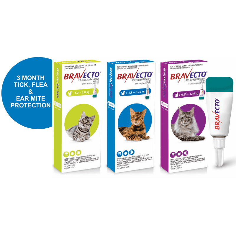 Bravecto Spot On For Large Cats (6.25-12.5kg) - Image 4
