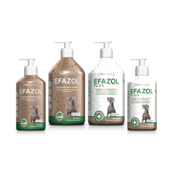 Efazol (250ml) - Image 2