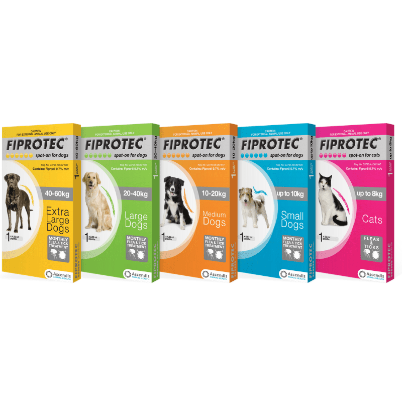 Fiprotec Spot On For Large Dogs (20-40kg) Box Of 10 - Image 2