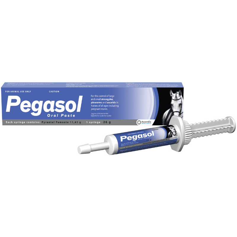Pegasol Paste For Horses (26g)