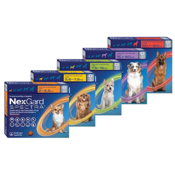 NexGard Spectra For Large Dogs (15.1-30kg) - Image 2