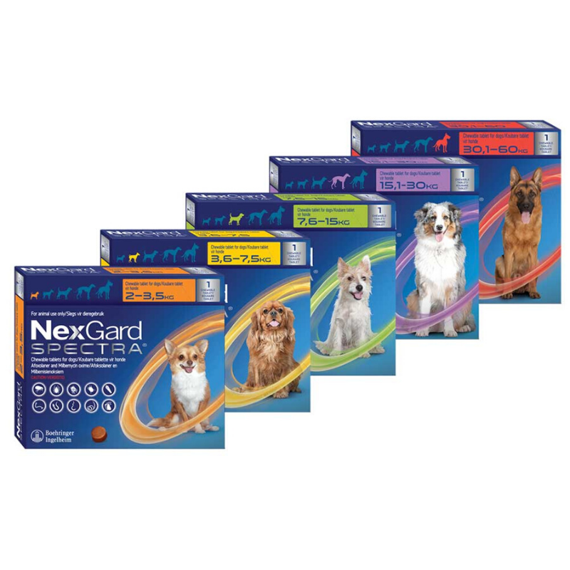 NexGard Spectra Extra Large Dogs (30.1-60kg) - Image 2