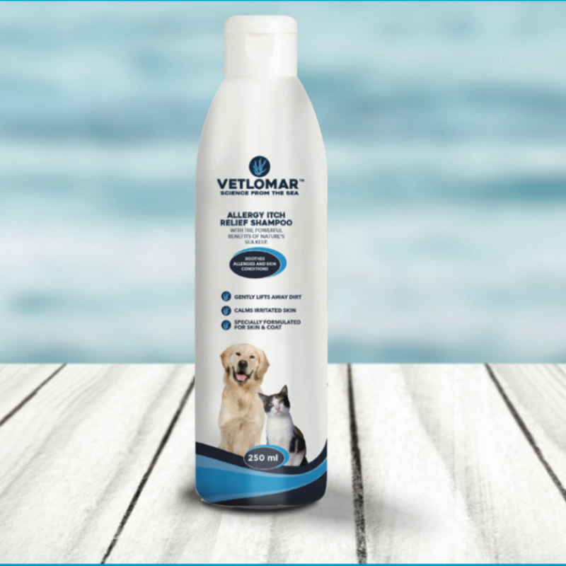Vetlomar Allergy Itch Relief Shampoo (250ml)