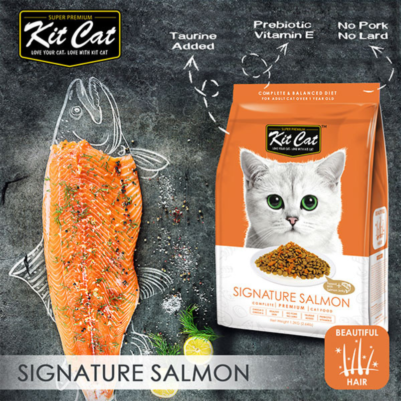 Kit Cat Signature Salmon (Beautiful Hair) Dry Cat Food (5kg) - Image 3