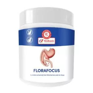 VetsBrands Florafocus (250g)