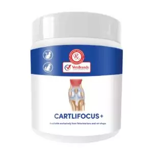 VetsBrands Cartlifocus + (250g)