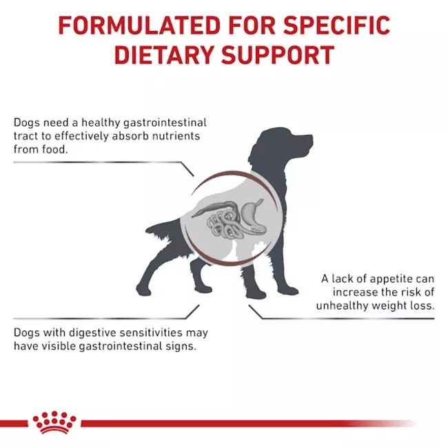 Royal Canin Gastrointestinal Dog Food (2kg) - Image 2