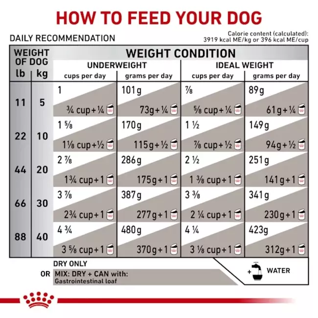 Royal Canin Gastrointestinal Dog Food (2kg) - Image 5