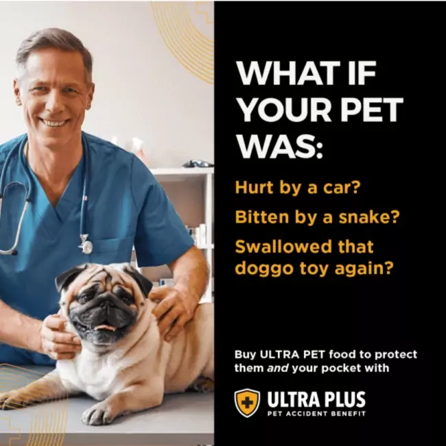 Ultra Pet Premium Medium To Large Brachycephalic Dog Food (12kg) - Image 3