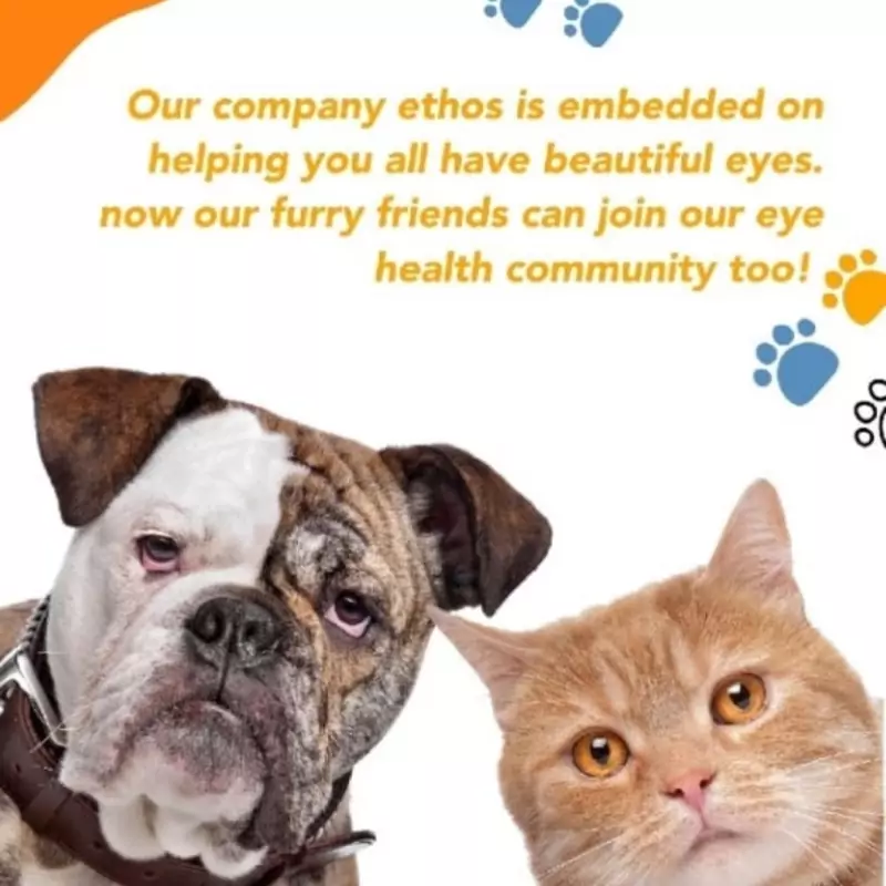 Pet Eye Cleanse Wipes (80) - Image 4