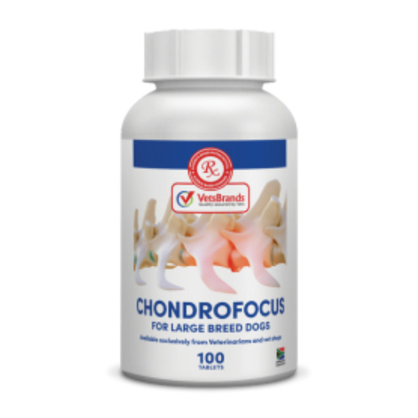 VetsBrands ChondroFocus Large Breed (100)