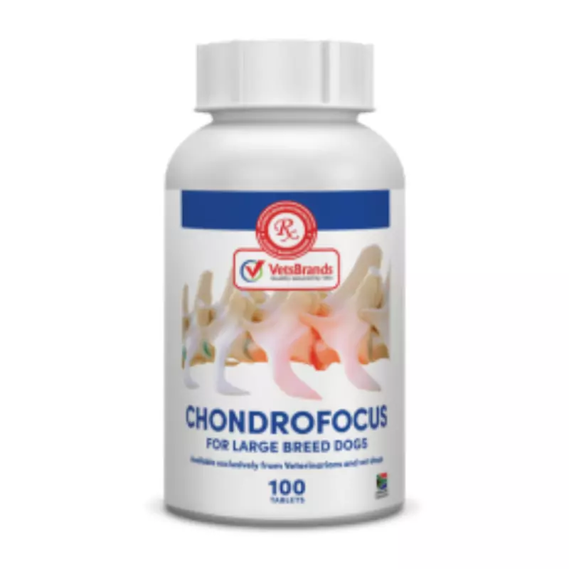 VetsBrands ChondroFocus Large Breed (100)