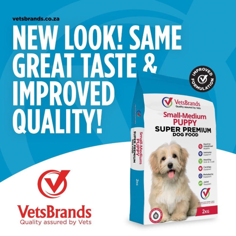 Pet dog purchase online