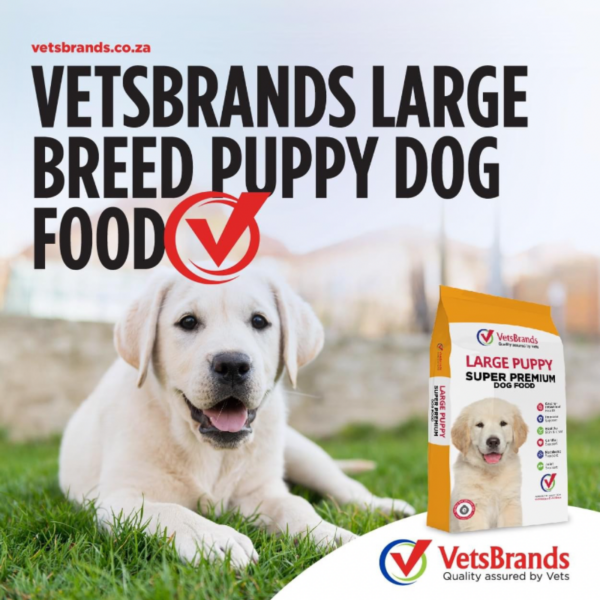 VetsBrands Large Breed Puppy (20kg) - Image 2