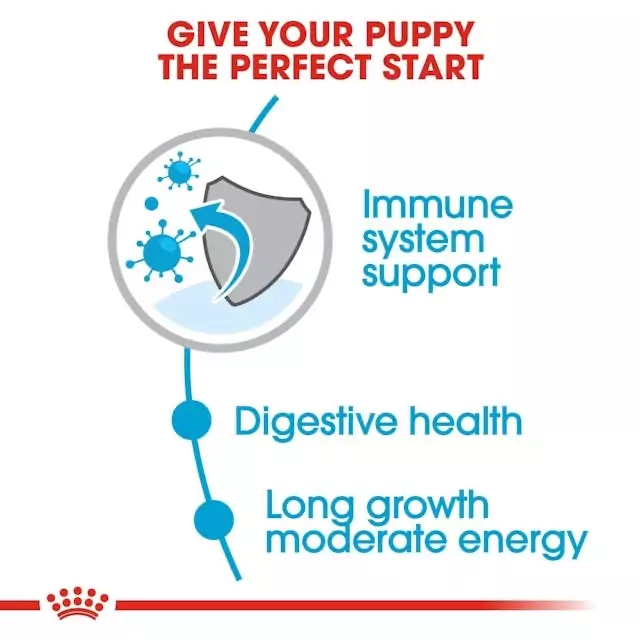 Royal Canin Maxi Puppy Food (15kg) - Image 3