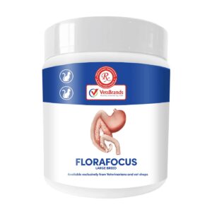 Vetsbrands FloraFocus Large Breed (250g)