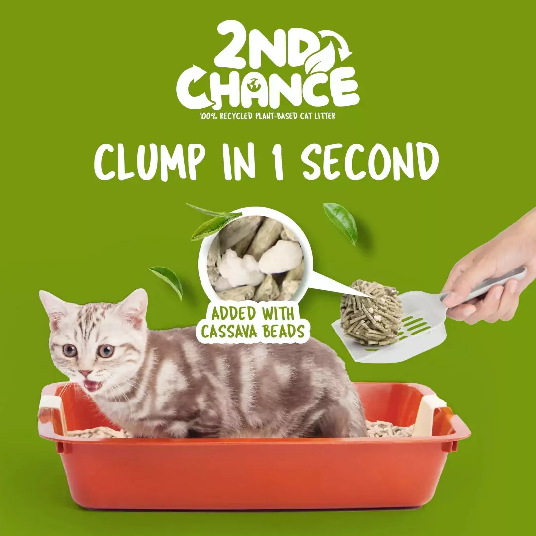 Kit Cat 2nd Chance Cat Litter 2.5kg (Green Tea) - Image 3