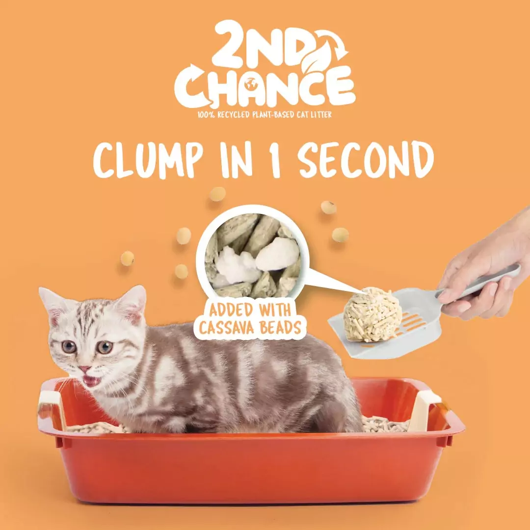Kit Cat 2nd Chance Cat Litter 2.5kg (Pea Fibre) - Image 6