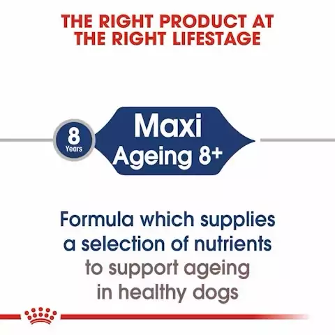 Royal Canin Maxi Adult Ageing 5+ Wet Food Pouches - 10x140g - Image 8