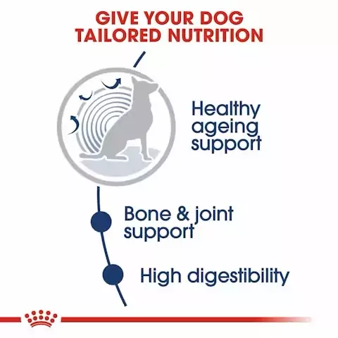 Royal Canin Maxi Adult Ageing 5+ Wet Food Pouches - 10x140g - Image 7