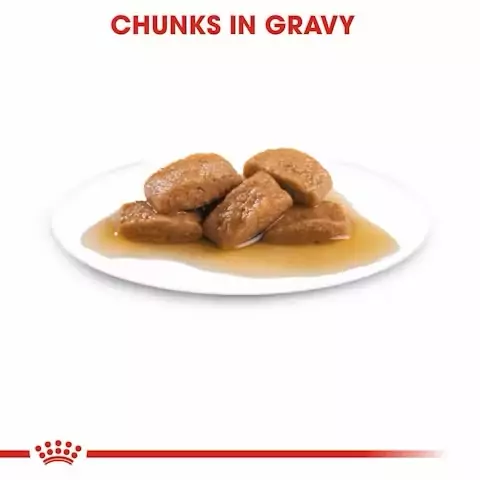 Royal Canin Maxi Adult Ageing 5+ Wet Food Pouches - 10x140g - Image 6